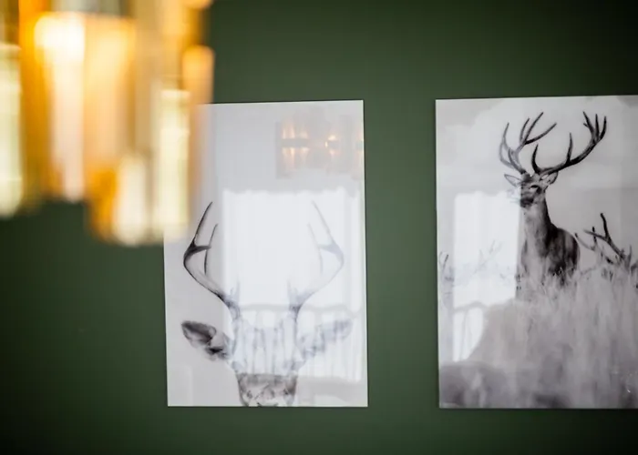 Haus Burgermeister Erzhorn